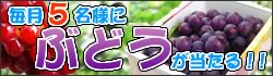 ���5̾�ͤ������롪��